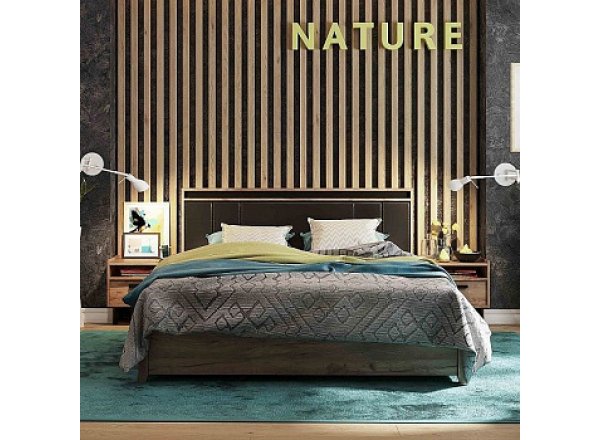 Кровать с ортопедическим основанием (металл) Nature 307 Люкс 160х200, крафт